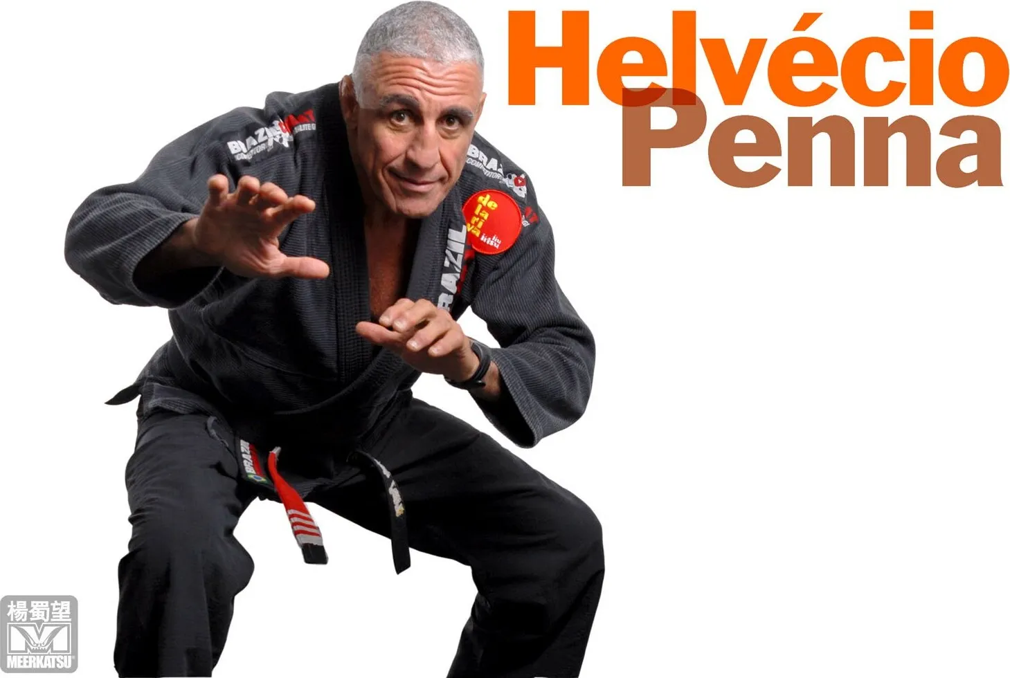 Helvécio Penna à Nantes